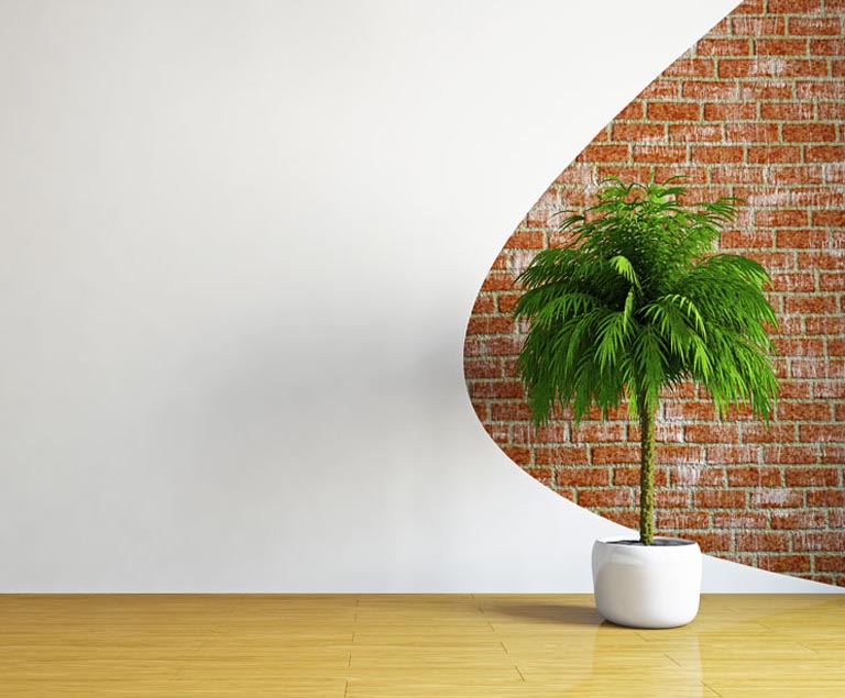 Plastering Services Image 5